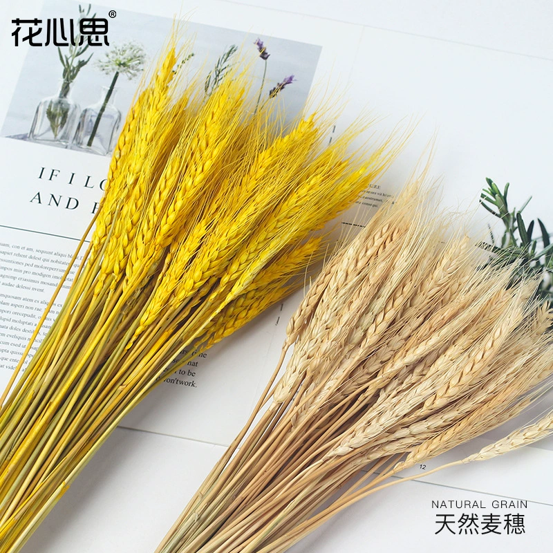 Открытие украшения оптом открытие корзины цветов упаковочные материалы дома золотые украшения ячменя ячмень сушеные цветы пшеничные Колосья