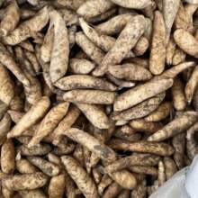 �������r�F�ڶ����r���ԷN���۟o�������Ҝ�����峴���}�羳���