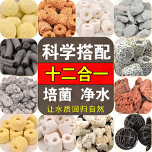 ~^Vʮһմɭhݻɽʯɺɰˮ̿