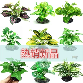造景/装饰;其它水族用品;鱼缸清洁用具