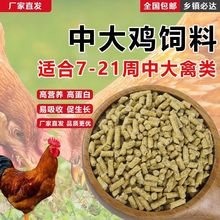 �u������l�д��w���u������µ��u���uͨ�ÿ羳����վ�S��