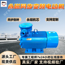永磁机芯 TBVF-315/60YC(660)矿用隔爆型永磁同步变频电动机