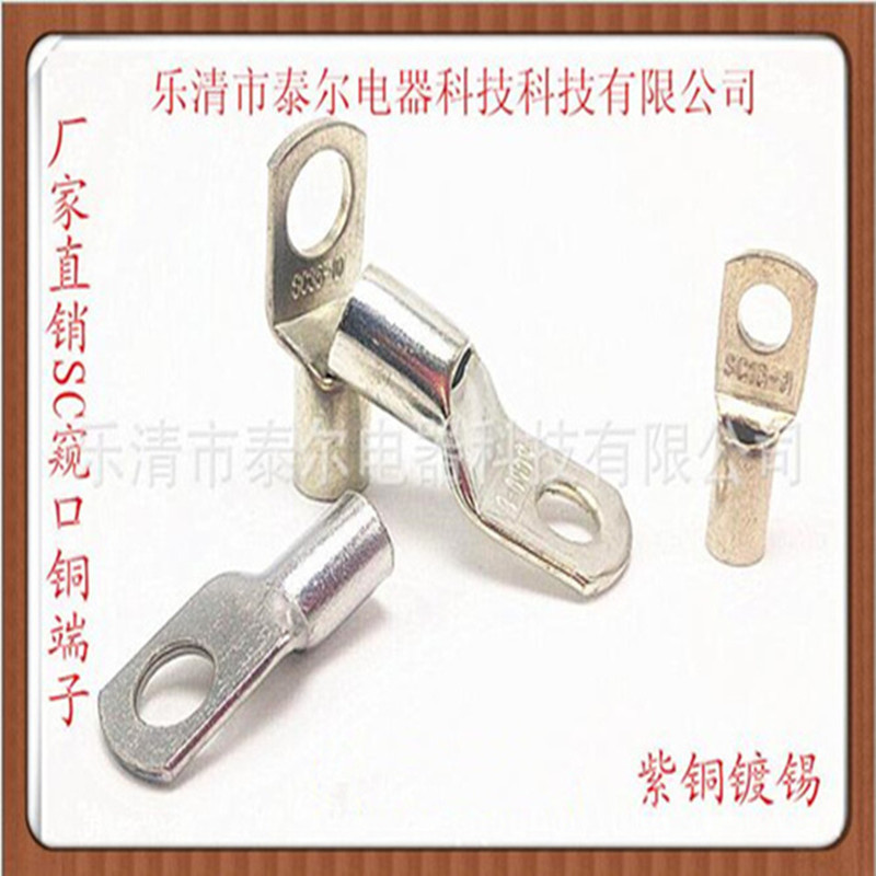 供应各种接线端子 窥口铜 铜鼻子 SC铜鼻子 窥口铜鼻子SC35-6镀锡