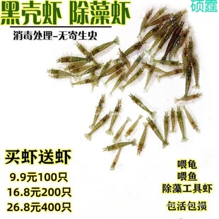 ��ֳ�Ļ��rС�^�p��ˮ�r������坍�r��ˮ�~�����B��С�rι��