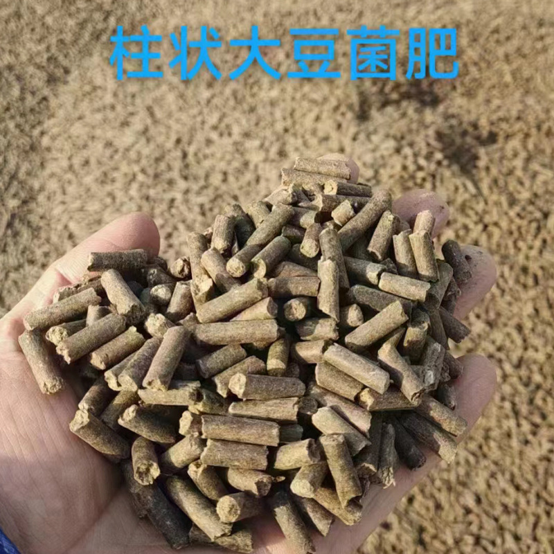 大豆発酵肥料 土壌改良生物菌肥料 プロバイオティクス分解発酵大豆有機肥料|undefined
