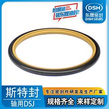 �ķ�����h�ܷ��Һ���S��˹�ط�֧�ܻ����U�ܷ���ߜ���ĥ�ܷ�Ȧ