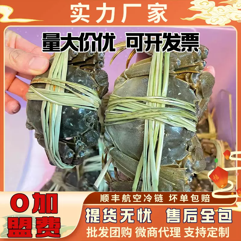 苏州大闸蟹鲜活螃蟹原产地工厂直发企业集采中秋福利量大价优