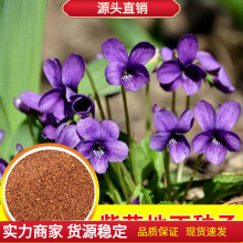 �ϻ��ض��N��ɢ�b��ș�Ŀ�ض���ض��N�ӷN���̨�^�������ļ�
