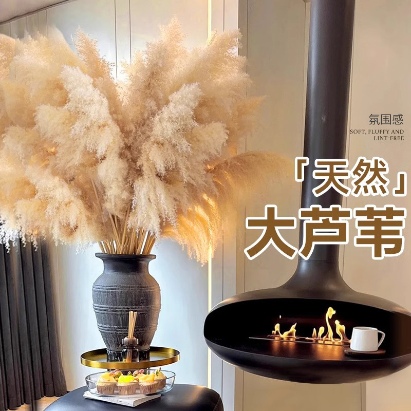 07a4931d-8903-424b-b26c-7c36b7db8a31.jpe