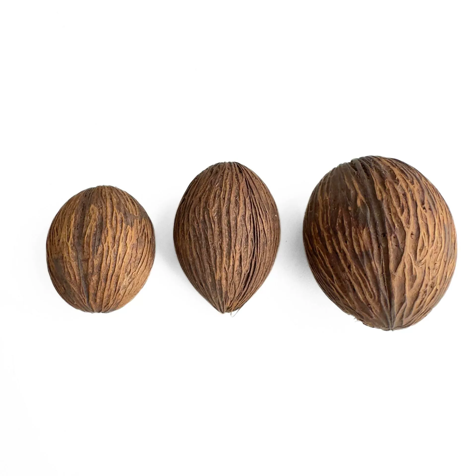 Натуральные растения по индивидуальному заказу, тысяча зерен, фрукты, импортные сушеные цветы и скорлупа сухофруктов, предметы интерьера для дома, реквизит для фотографий, ручная работа, сделай сам