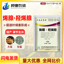 ���ѱض��� ϩ���uϩ��������������ش󶹸��{�{�����L�{����