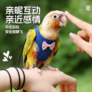 �W�^��������K���Pĵ����ƤС̫ꖷ��w�K�������B�K�·��B�w�з�