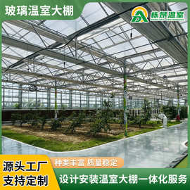 温室大棚加工 设计安装玻璃温室大棚 现代化农业种植大棚