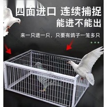 户外捕鸽神器鸽子笼全自动天落笼子自动只进不出撞门四面埋伏收鸽