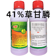 41%�ݸ�좮������}���������s�݄��ݸ��׳��s�ݠ����������l