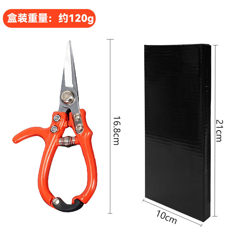 sk5 레드 핸들 전지가위 스트레이트 헤드 박스형