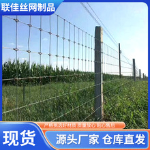 定制养殖网围栏镀锌养鹿网环扣 全钢加粗鹿网网 草原围栏网果园围
