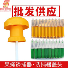 ��ω���T������ωᘷ�С��ω���T���㾫�Ϲ��@�˹�ω�T���������l