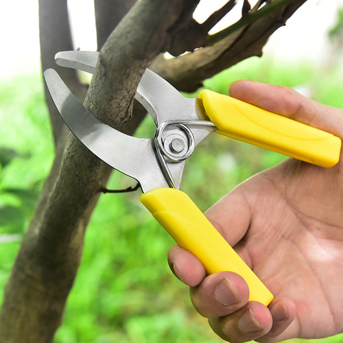 Manufacturer of fruit tree girdling scissors, stainless steel gardening shears, pruning shears, fruit branch shears, bark girdling scissors, garden tools