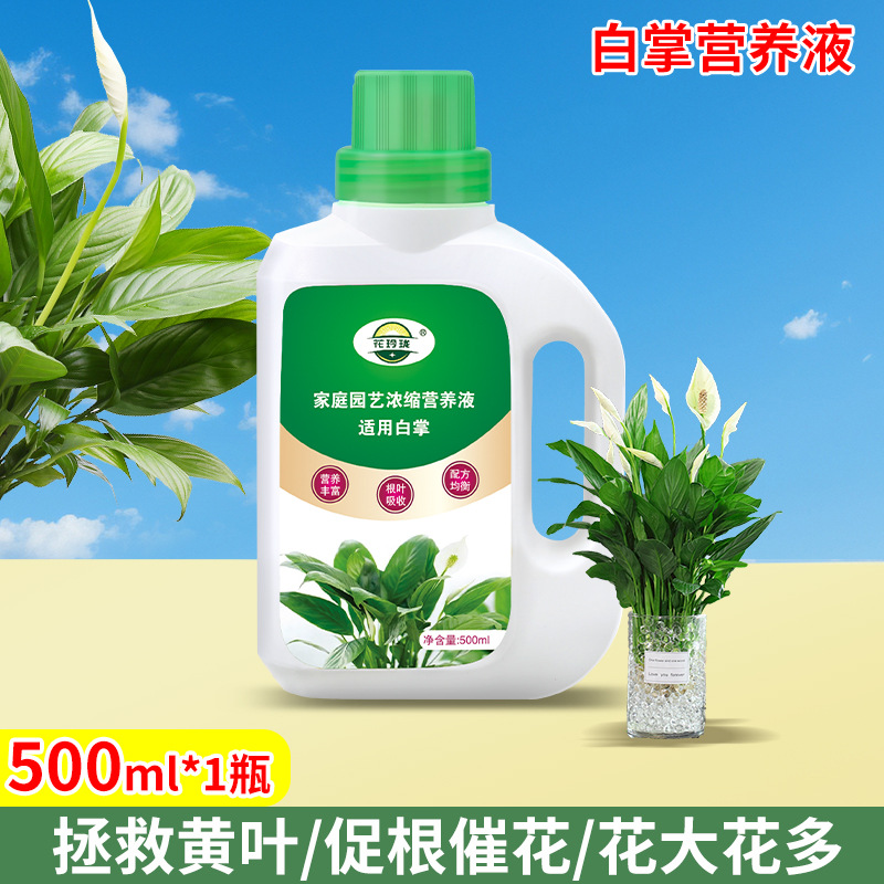 White palm special nutrient solution 500ml*1 bottle