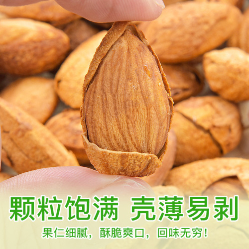 New Thin Shell Almond Wholesale Used Almond Almond Butter Flavor Dried Fruit Nuts Snacks Manufacturer