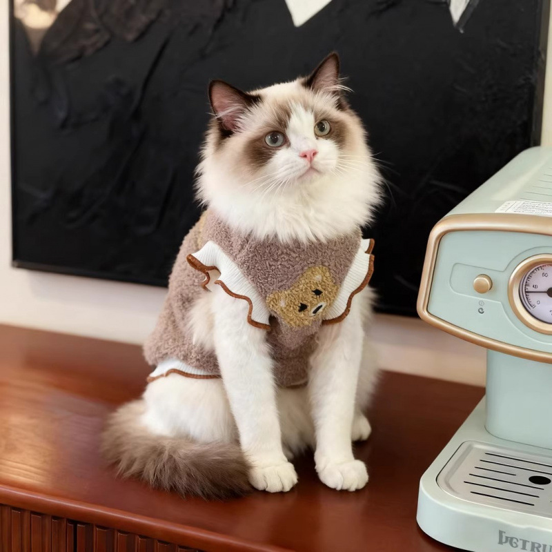 Ropa de gato de doble cara invierno cálido espeso esfinge chaleco de gato sin pelo chaleco de gato alemán chaleco de lana image 1