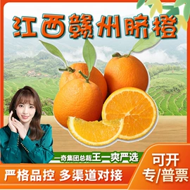 代用/养生茶;苹果;橙