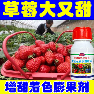 ���羳��ˮ���������������Ѹ��ٲ�ݮ�����ѹϹ�������ɫ��ˮ��