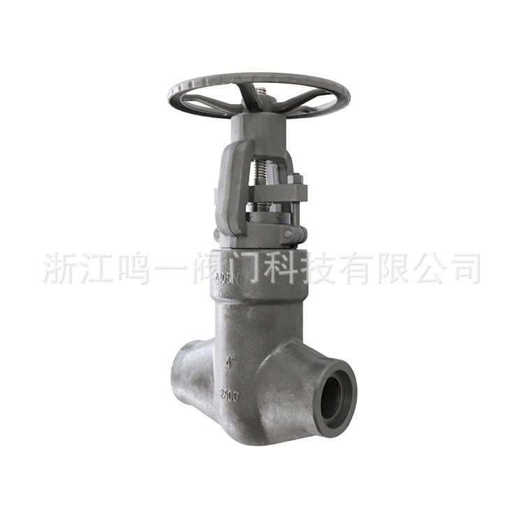 05-鍛造高壓自密封閘閥-PZ61Y-2500LB-4&am