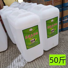 50��p�x�C�� ��܇�� ���� ������ �܇�� �۷��L�����l������