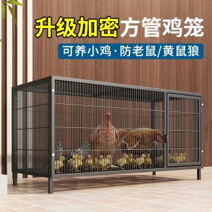 鸡笼子加粗大号家用养殖笼自动滚蛋折叠鸭笼狗笼鹅笼加固厂家直发-阿里巴巴