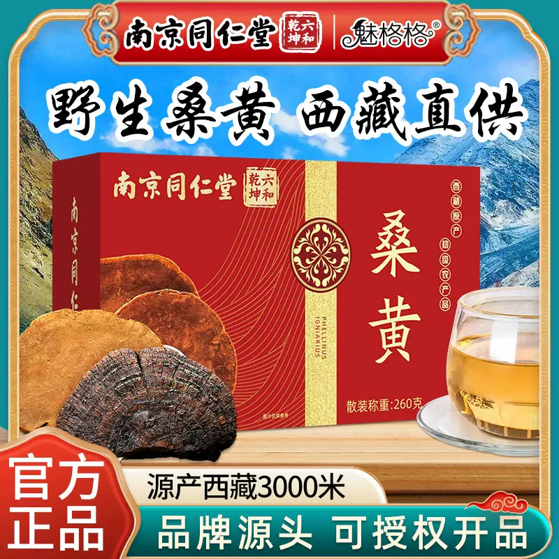严选南京同仁堂桑黄西藏药材林芝原产野生桑树260g正品养生现货