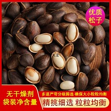 新货新鲜美味薄壳落水松鲜货云南新鲜松子大颗粒散装未加工