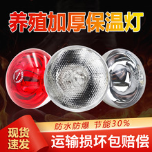 养殖保温灯仔猪用取暖灯兽用保温灯爬虫加热灯小鸡鸭育雏保温取暖