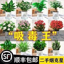 С��荻�������ˮ���k���һj�ȳ���ȩ����ֲ��Gֲ�lؔ��G�}���B