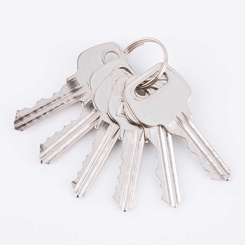 엄선된 범용 키 5개 + 특수 키 1개●