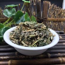 批发中药材 倒扣草 土牛膝 散装500克海索草 Hyssopus 神香草外贸