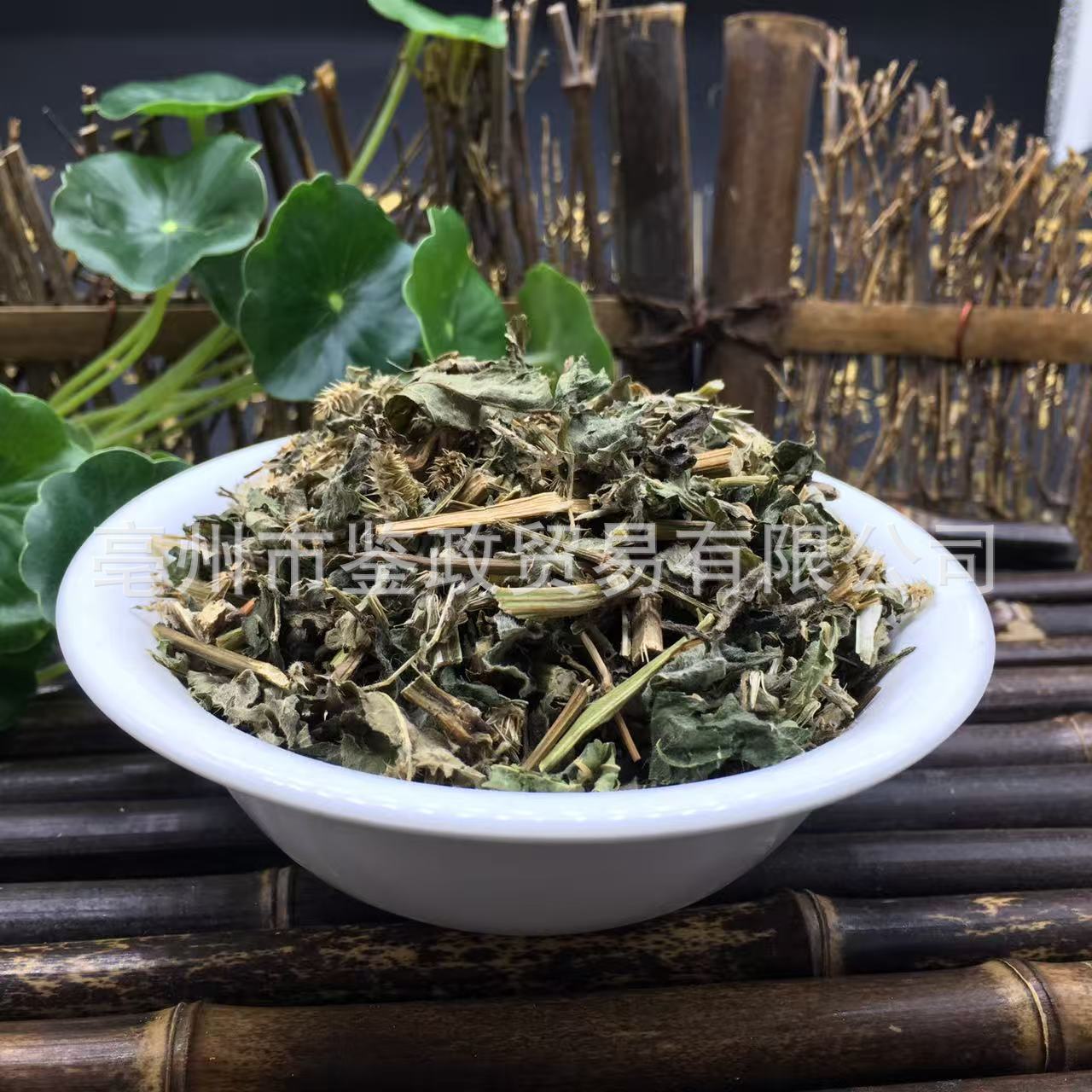 Dao Kou Cao 倒扣草 Dried Achyranthes Herb 500g Loose Bulk Traditional TCM Herbal Ingredient key features