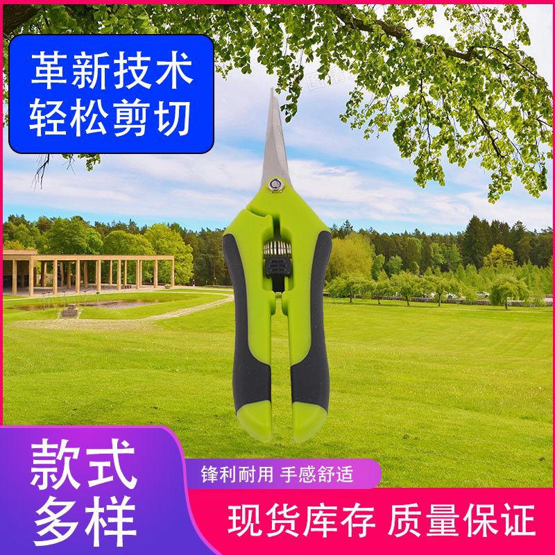 厂家直销剪枝枝条剪刀园艺树枝园林工具花园果树修枝剪叶片