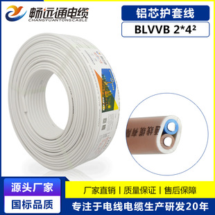 �X�o�׾�BLVVB2*4 ��ɫ���b������ �����˱��z�������X��|�S��