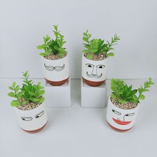 <SJOI >  ҾԻ裬մֹ С裬