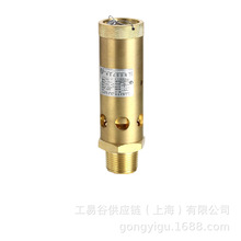 AFSֱͲȫyA28X-16T DN40 1.14MPa