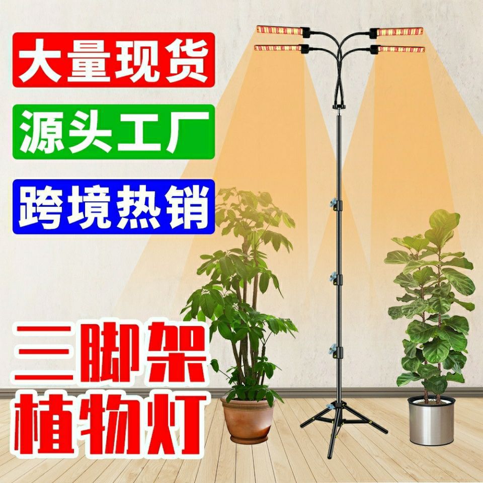 indoor Spectrum plant to ground fold Tripod Green plant flowers and plants Sunlight Botany fill-in light