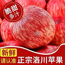 ���Y���b���崨�t��ʿ�O����ţ�O��ˮ����ͯ�ЋD������10�����l