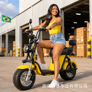 Directly supplied from Brazil: Harley-style wide-tire electric bike, Citycoco adult electric bicycle, electric motorcycle, electric scooter manufacturer