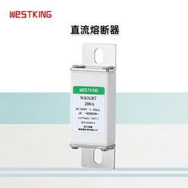 高压熔断器;保险丝座(盒);一次性保险丝
