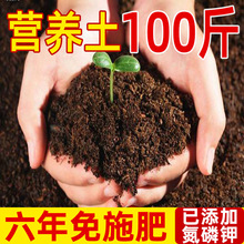 营养土100斤通用型种菜养花专用种植土壤大包家用泥炭土厂家直销