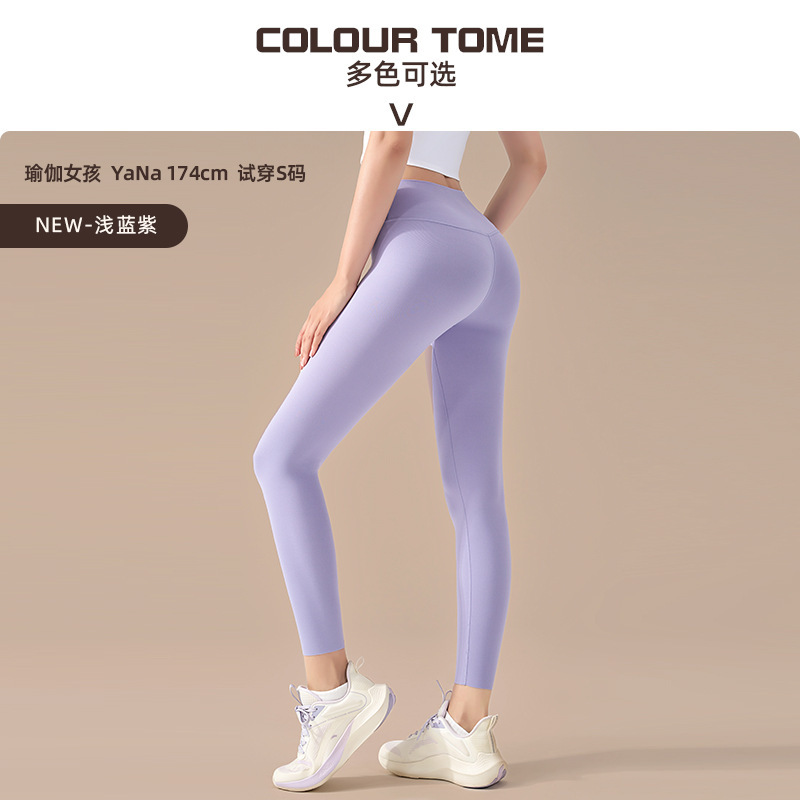 연한 파란색 보라색연한 파란색 보라색