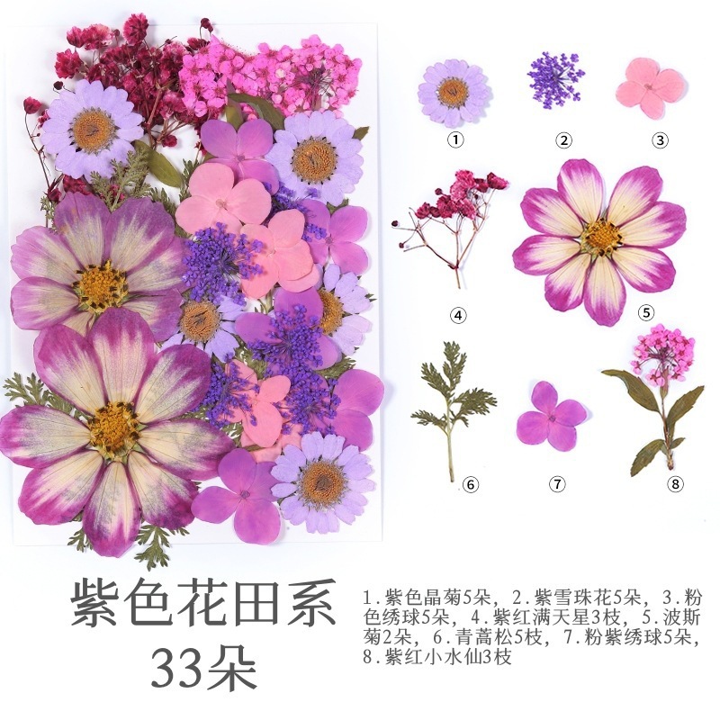 보라색 꽃밭(33송이)