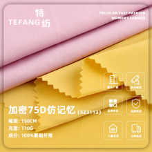 75D���ܷ�ӛ���� 110g��]�p��ƽ�y�󿗲��� ���đ����У������